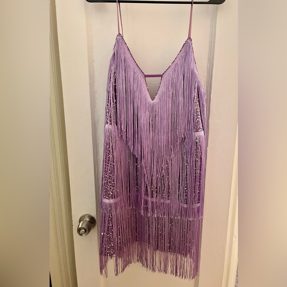 Purple fringe and sequins fun party dress